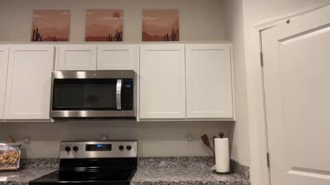 Richie online show from February 25, 2025, 12:25 am