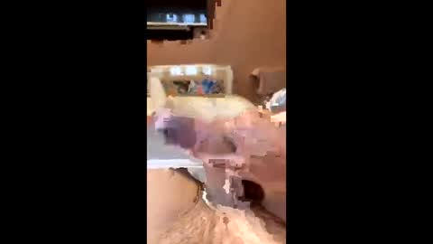 Snapshot of richmondal83 chatting on October 22, 2025, 3:01 pm richmondal83 online show from October 22, 2025, 3:01 pm