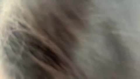 Ammy here its my first stream here online show from February 27, 2026, 2:22 am