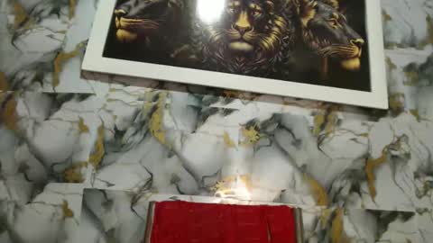 rigel online show from February 24, 2026, 6:28 pm