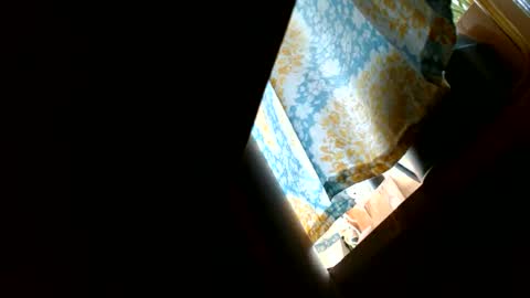 Snapshot of riskyjizznessss chatting on December 31, 2024, 4:46 pm riskyjizznessss online show from December 31, 2024, 4:46 pm