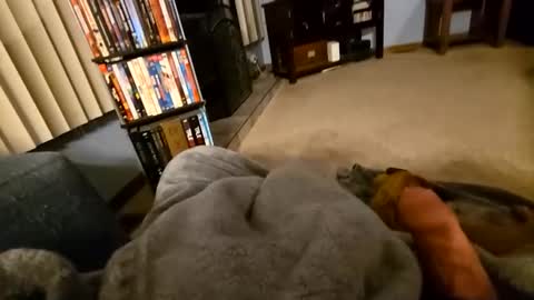 robbiebob6828 online show from March 2, 2026, 4:14 am