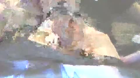 robertharley online show from December 2, 2025, 11:04 am