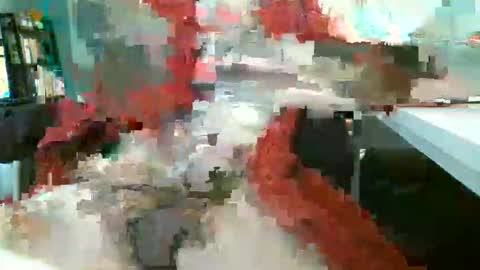 Rocco  aka DaddyRoc online show from February 5, 2026, 1:38 pm