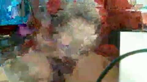 Rocco  aka DaddyRoc online show from February 11, 2026, 11:48 am