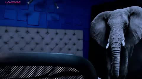 rocco_santos online show from September 14, 2025, 2:00 am