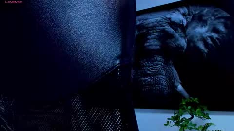 santos online show from February 25, 2026, 6:01 am