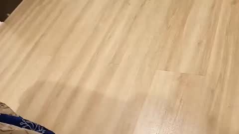 rockikoki online show from March 16, 2026, 4:33 pm