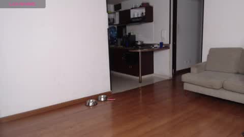 Rogger online show from February 21, 2025, 3:12 am