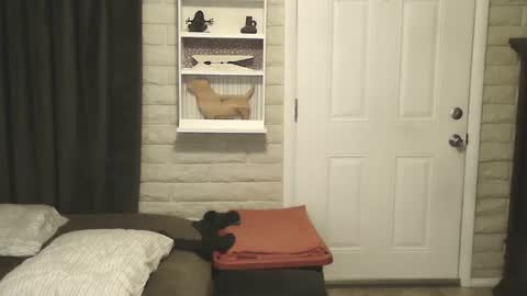 Snapshot of roinaz chatting on January 25, 2025, 6:55 am roinaz online show from January 25, 2025, 6:55 am