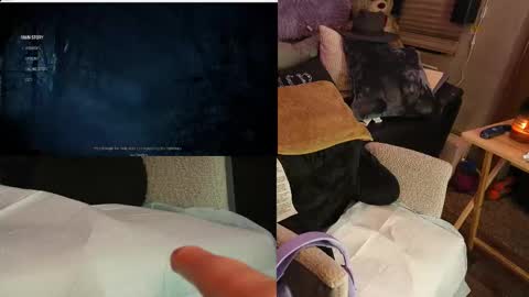 Snapshot of roknblaze chatting on November 9, 2025, 2:43 am Rok-N-Blaze online show from November 9, 2025, 2:43 am