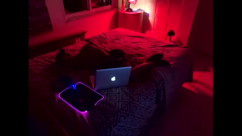 romeotyn online show from February 21, 2025, 6:07 am