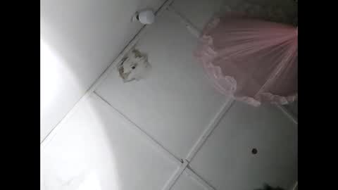 Snapshot of romy_cobel chatting on November 10, 2025, 5:23 pm Romy Cobel online show from November 10, 2025, 5:23 pm