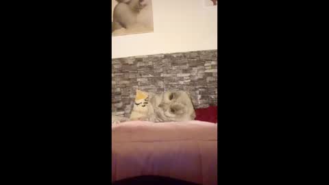 romylachienne online show from January 18, 2026, 2:59 am