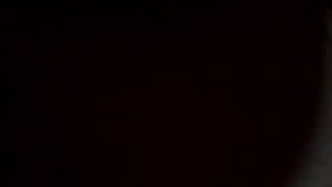 rooster2024 online show from March 3, 2026, 12:55 pm