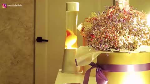 Rosalie online show from November 16, 2025, 1:33 am