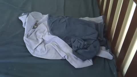 Rosey online show from April 6, 2026, 4:46 am