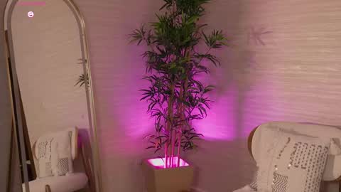 Snapshot of roseferrera chatting on March 8, 2026, 2:59 am Rose online show from March 8, 2026, 2:59 am