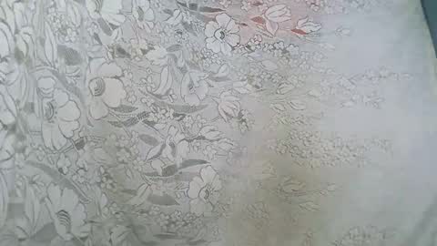 rosia online show from November 6, 2025, 2:07 pm