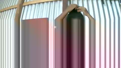 rosia online show from January 14, 2026, 7:47 am