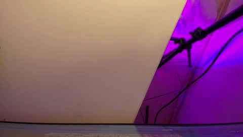 Roxane online show from March 3, 2026, 3:34 am