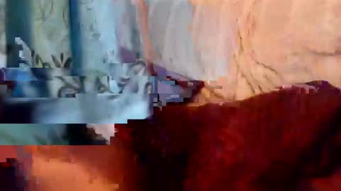 Snapshot of rpauldj chatting on November 8, 2025, 10:41 pm rpauldj online show from November 8, 2025, 10:41 pm