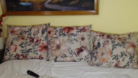 Snapshot of rubysky__ chatting on February 3, 2025, 6:39 pm Ruby online show from February 3, 2025, 6:39 pm