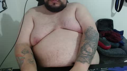 Bear online show from February 4, 2026, 4:07 am