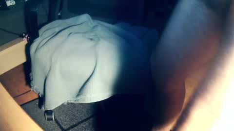 Snapshot of rudrigez chatting on December 2, 2024, 3:03 pm rudrigez online show from December 2, 2024, 3:03 pm