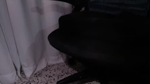 rx7900xtx online show from December 4, 2025, 3:27 am