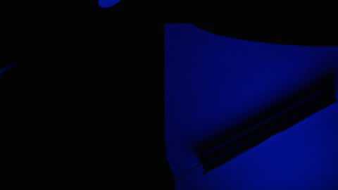 Ryushi009 online show from January 10, 2025, 3:39 am