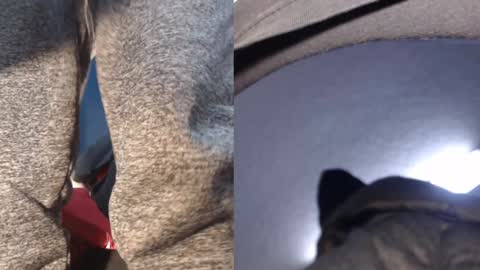 Ryushi009 online show from January 21, 2025, 5:38 am