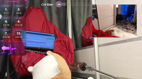 s1lent_v0id online show from January 25, 2025, 2:47 pm