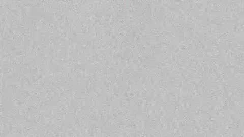 Snapshot of s_u_n_r_i_s_e_e chatting on October 6, 2025, 3:59 am Leslie Beltrn online show from October 6, 2025, 3:59 am