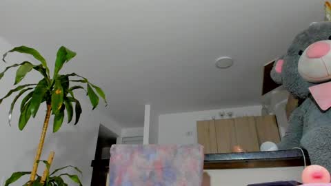 Snapshot of sahra_belmont chatting on December 7, 2024, 8:55 am Sara  online show from December 7, 2024, 8:55 am