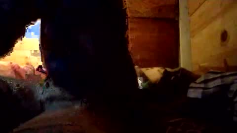 Penoso online show from December 14, 2025, 10:09 am