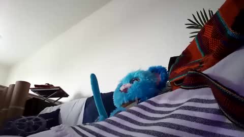 salis1981 online show from January 25, 2025, 10:28 pm