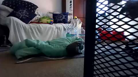 salis1981 online show from February 7, 2025, 12:31 am