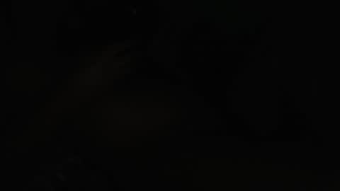 maria online show from March 9, 2026, 12:53 pm