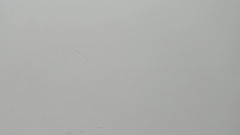 SALVATORE online show from February 6, 2025, 11:10 am