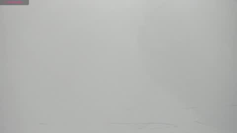 SALVATORE online show from February 14, 2025, 11:10 am