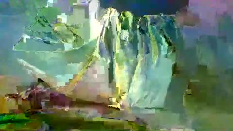 Snapshot of sam223382879 chatting on December 27, 2024, 10:59 pm sam223382879 online show from December 27, 2024, 10:59 pm