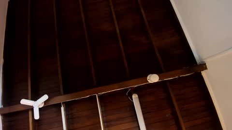 Alejandra  online show from October 24, 2025, 10:00 am