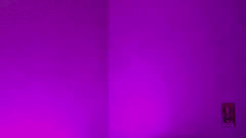 Sam Demia online show from December 27, 2024, 2:58 am