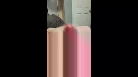 samdprl52 online show from March 22, 2026, 2:31 pm