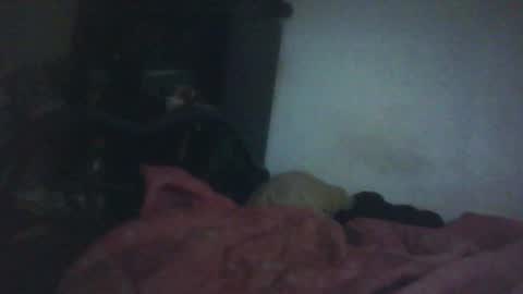 Samedisamedi1nouveau online show from October 18, 2025, 11:33 am