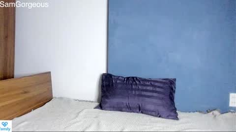 Snapshot of samgorgeous chatting on December 3, 2024, 8:17 pm Fansly - Top4fans online show from December 3, 2024, 8:17 pm