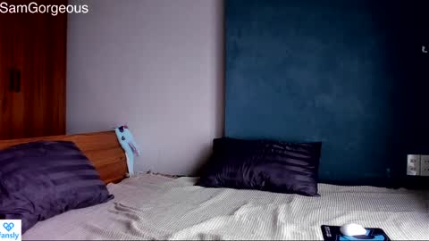 Snapshot of samgorgeous chatting on December 9, 2024, 9:06 am Fansly - Top4fans online show from December 9, 2024, 9:06 am