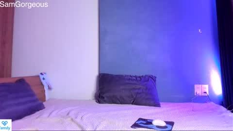 Snapshot of samgorgeous chatting on December 14, 2024, 8:08 pm Fansly - Top4fans online show from December 14, 2024, 8:08 pm