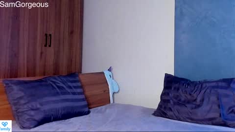 Snapshot of samgorgeous chatting on January 5, 2025, 11:22 pm Fansly - Top4fans online show from January 5, 2025, 11:22 pm